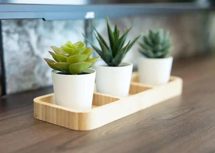 Ivory Seafront With Views!- Fl 8 By Homely Apartamento *